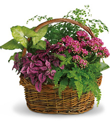 Secret Garden Basket from Olney's Flowers of Rome in Rome, NY